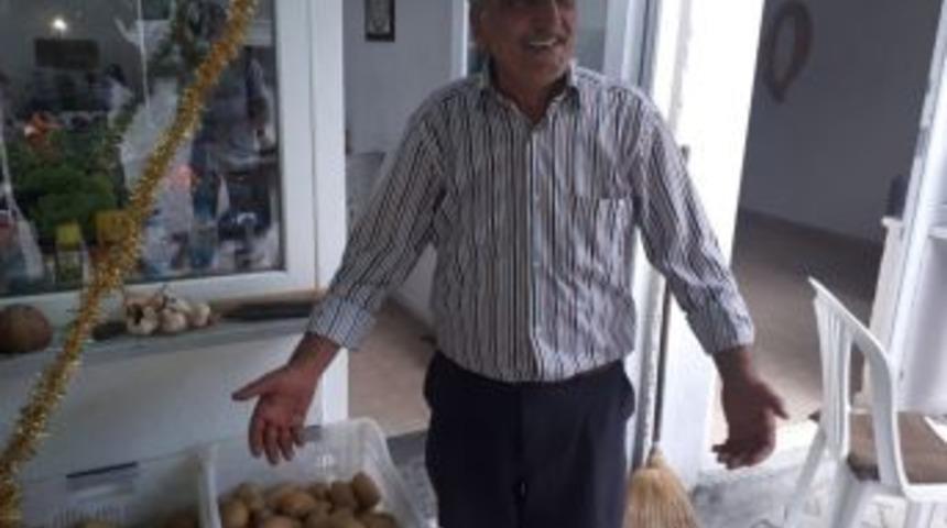 Patates Zam Şampiyonu