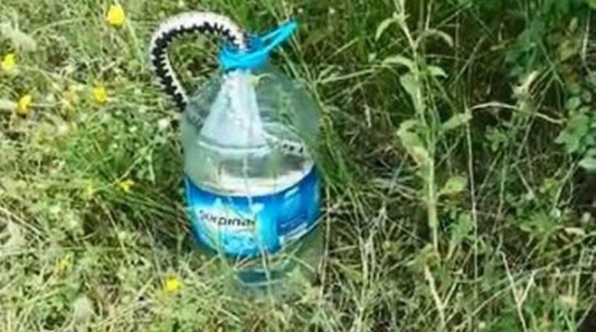 Balığı Yemek İ&ccedil;in Kendini Şişeye Hapsetti