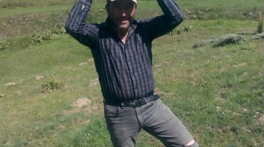 Dev Mantarlar Şaşırttı