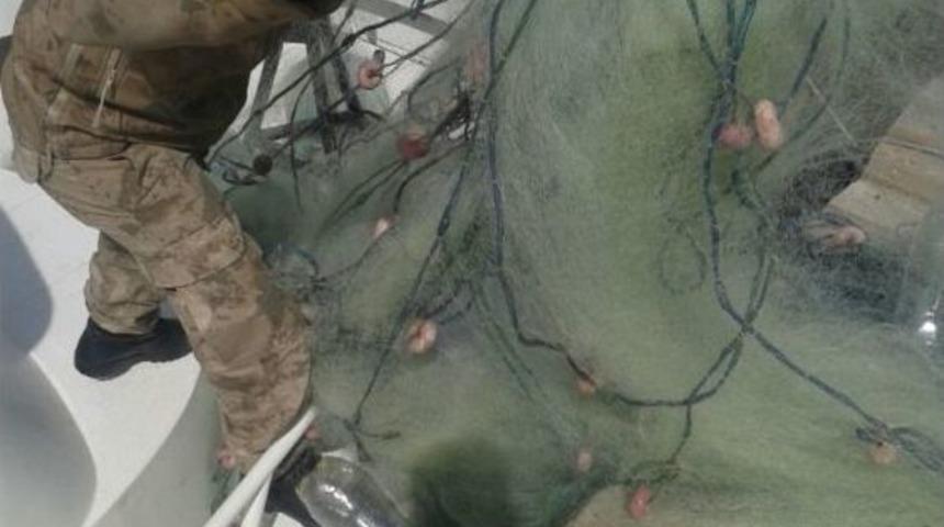 Jandarmadan Kaçak Avcılara Geçit Yok