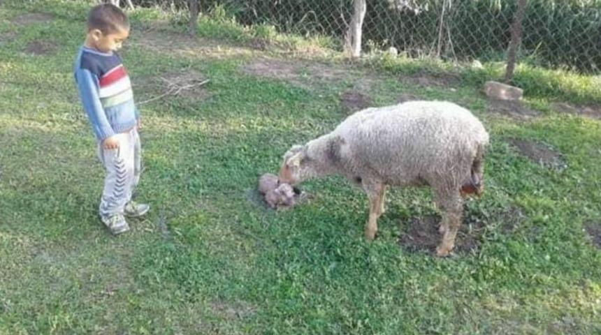 Sulama Kanalında Kaybolan &Ccedil;ocuğun Cesedi Bulundu