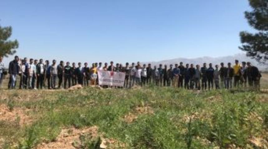 100 Adet Fidan Toprakla Buluştu