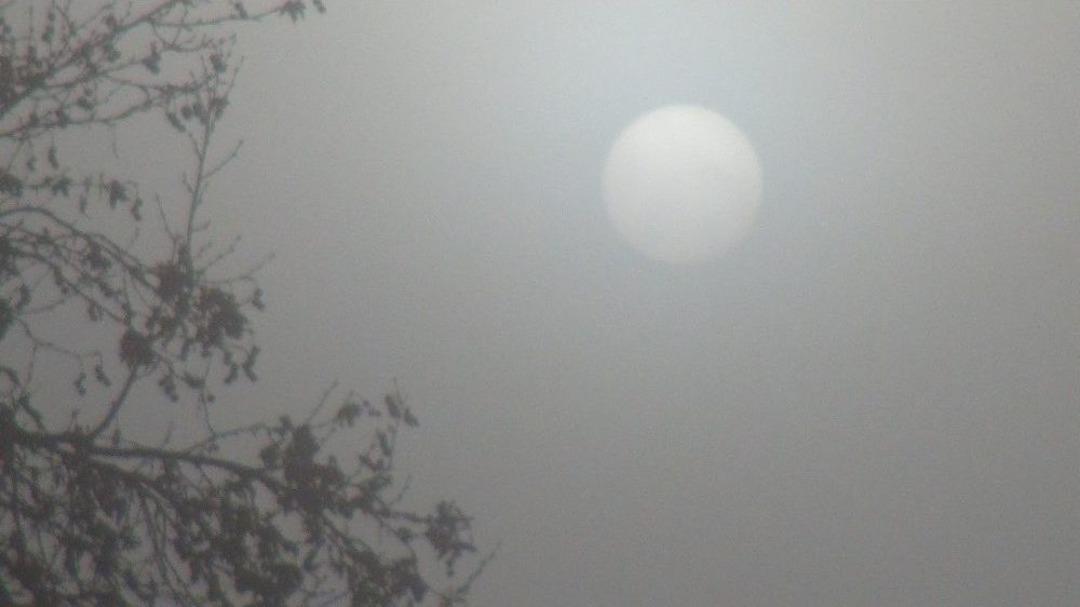 İslahiye&rsquo;de Sis Etkili Oldu