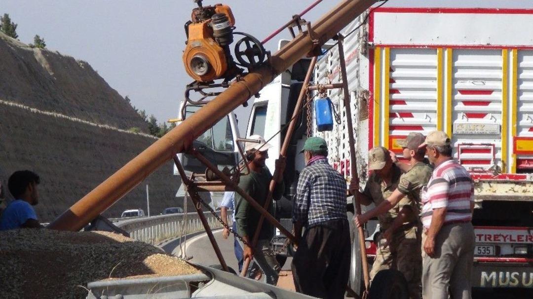 25 Ton Buğday &Ccedil;evreyoluna Sa&ccedil;ıldı