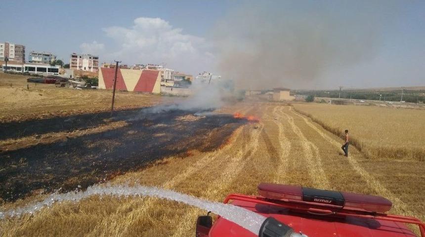 Hasat Yapılırken Yangın &Ccedil;ıktı