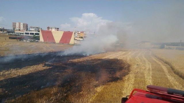 Hasat Yapılırken Yangın Çıktı