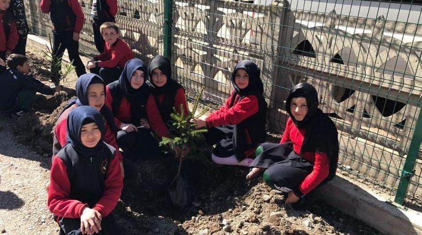 Ordu&rsquo;da Sosyal Maksatlı Ağa&ccedil;landırmada 2 Bin Fidan Dikildi