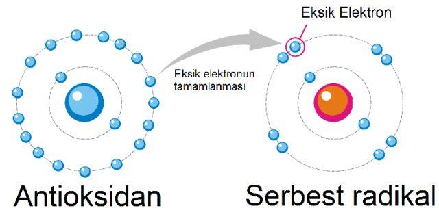 3. Antioksidan