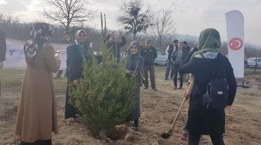Kyk&rsquo;da Kalan &Ouml;ğrenciler Fidanları Toprakla Buluşturdu