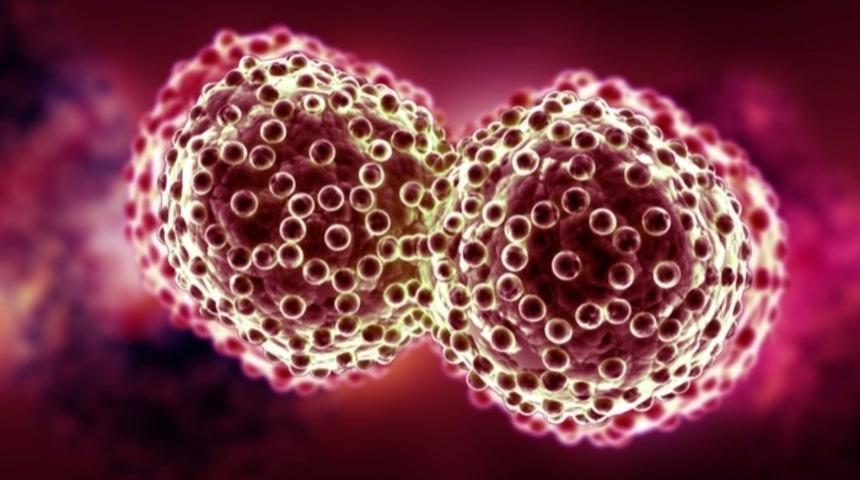 Nektarinin Faydaları Nelerdir?