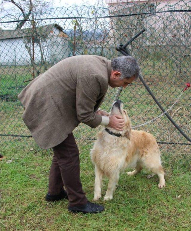 Kanseri Koklayarak Bulacaklar