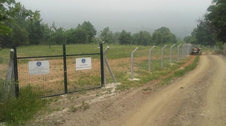 Çöplükler Yeşil Alan Oluyor