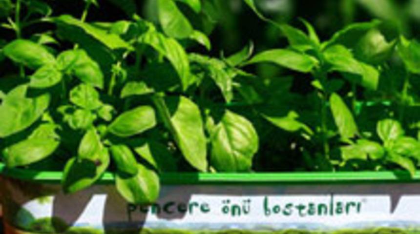 Hobi Bah&ccedil;eciliği Eğitimini Ka&ccedil;ırmayın