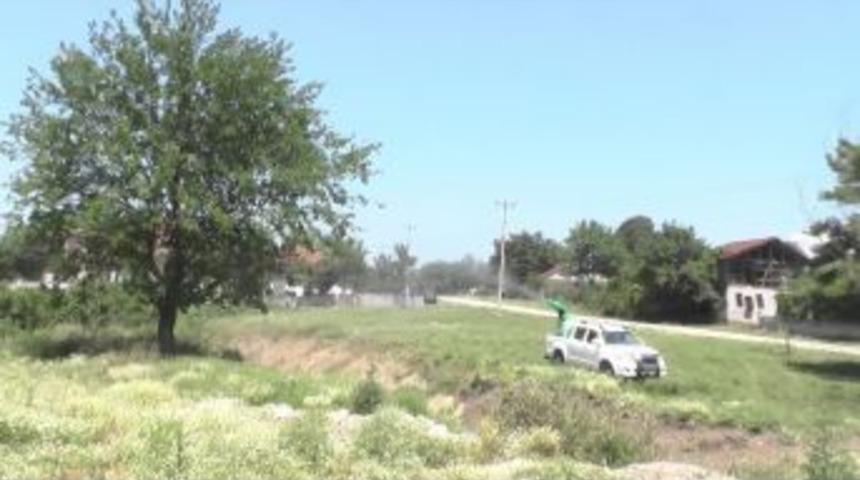 G&uuml;m&uuml;şova&rsquo;da M&uuml;cadele S&uuml;r&uuml;yor