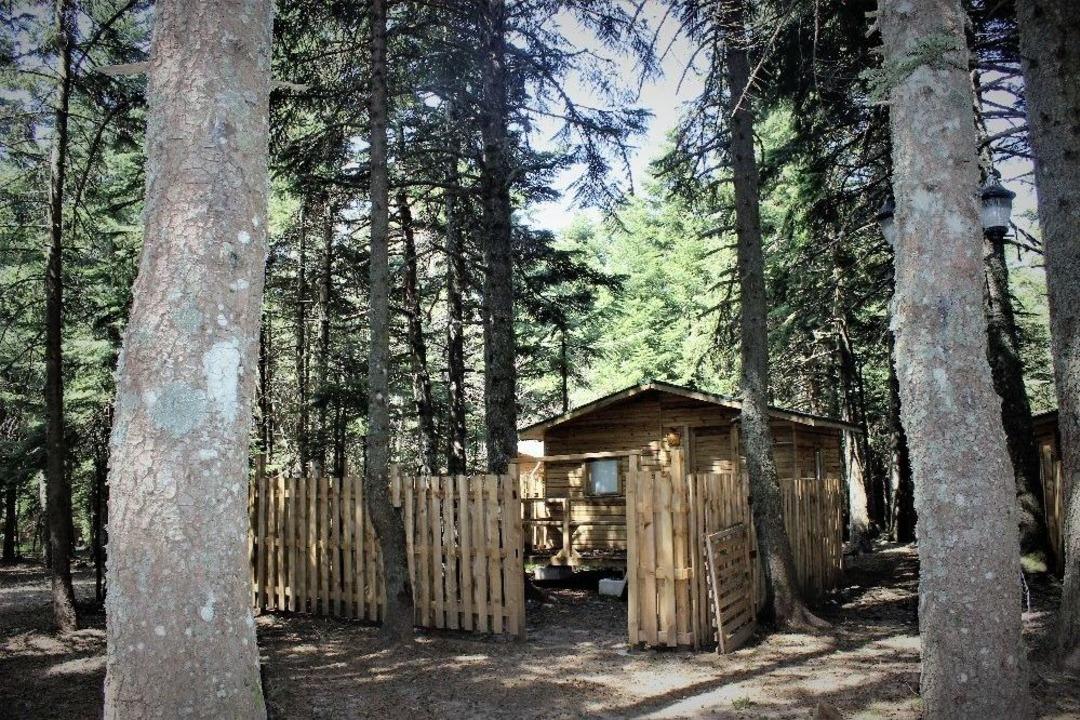 G&uuml;nl&uuml;k 22 Liraya Uludağ&rsquo;da 5 Yıldızlı Tatil Başlıyor