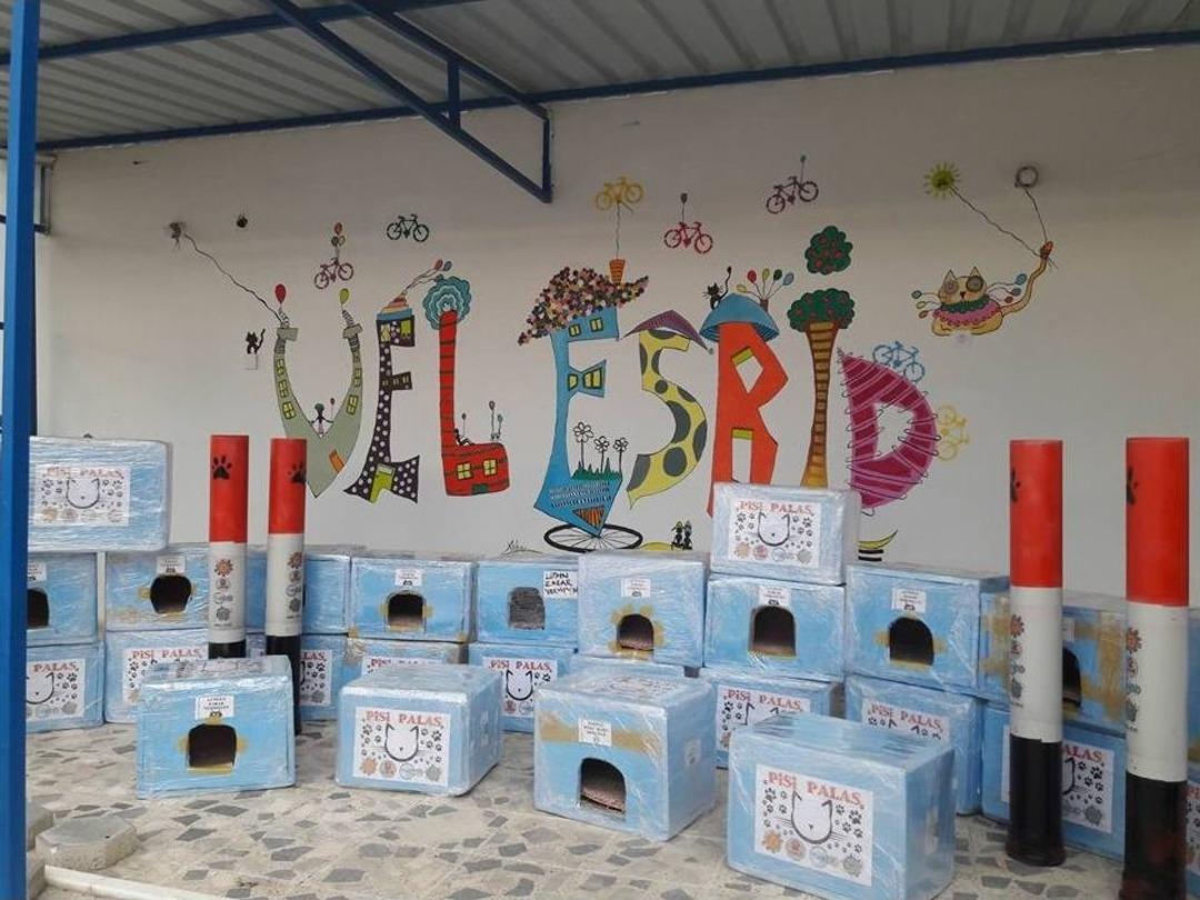 G&ouml;n&uuml;ll&uuml;lerden Sokak Hayvanlarına 41 Barınma Evi