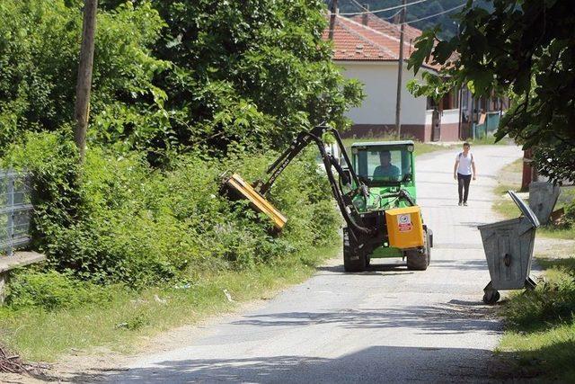 Sapanca Bayrama Hazırlanıyor