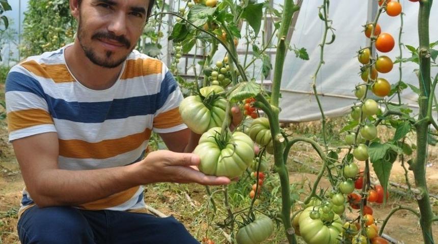 Yetiştirdikleri Tarımsal &Uuml;r&uuml;nler Okullarına Gelir Olarak D&ouml;n&uuml;yor