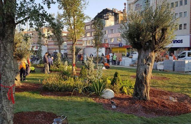 Zeytinburnu 15 Temmuz Meydanı Dikey Bahçeyle Yeşilleniyor