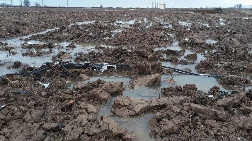 Drenaj Kanalları A&ccedil;ılmayınca Tarlalar Sular Altında Kaldı