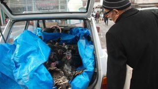 Otomobilde Hindi Satışı