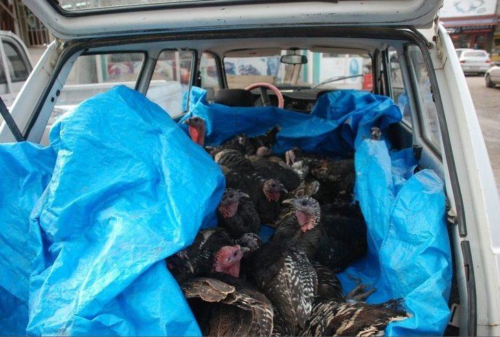 Otomobilde Hindi Satışı G5