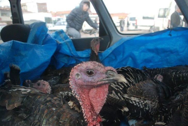 Otomobilde Hindi Satışı G1