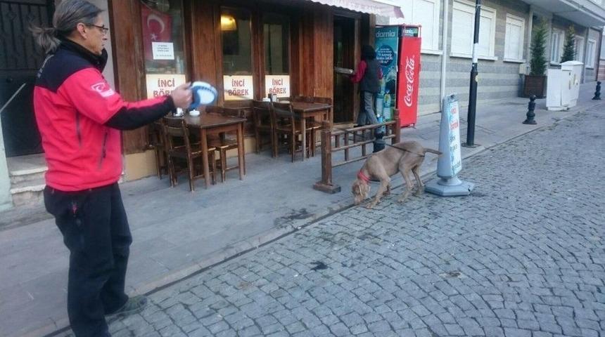 Kayıpları ’keş’ Bulacak