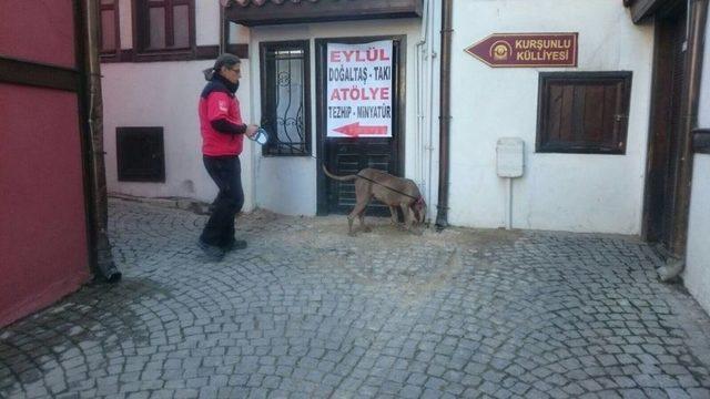 Kayıpları ’keş’ Bulacak