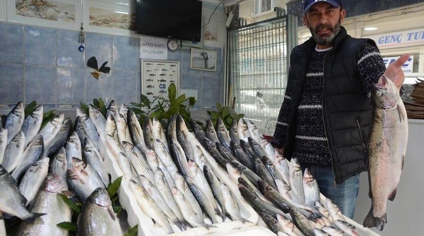 Tezgahları Havuz Balıkları S&uuml;sl&uuml;yor