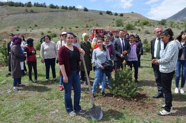 Turizm Haftasında Fidan Dikimi Yapıldı