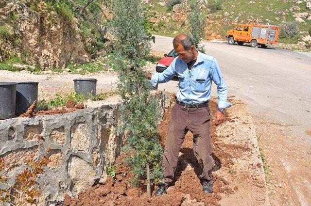 Gölbaşı İlçesinde Ağaç Dikim Çalışmaları Devam Ediyor