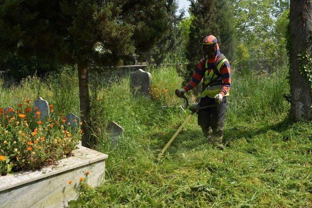 Kartepe Yaza Hazırlanıyor