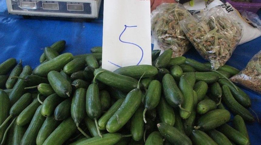 Salatalığın Kilosu 5 Tl&rsquo;ye &Ccedil;ıktı