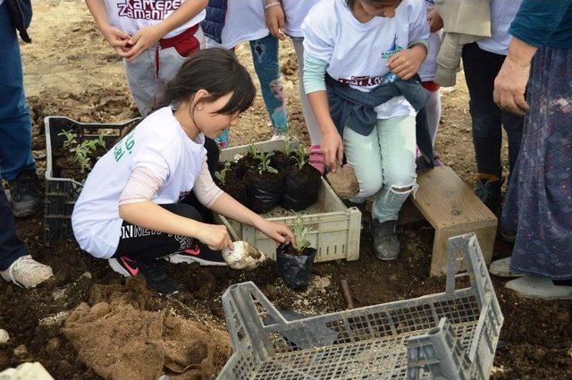 Kartepeli Öğrencilerden Fidanlık Ziyareti