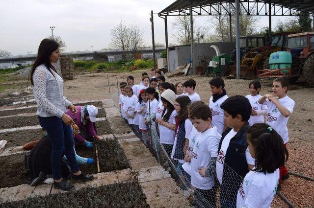 Kartepeli Öğrencilerden Fidanlık Ziyareti