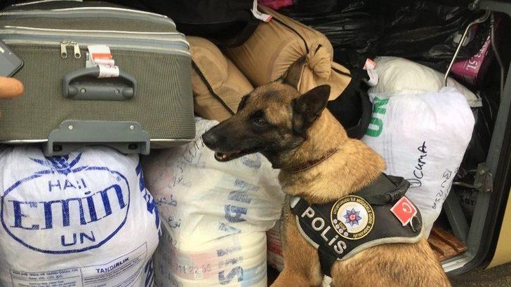 Bursa Terminalinde Hareketli Dakikalar, Polis Kuş Uçurtmuyor G4