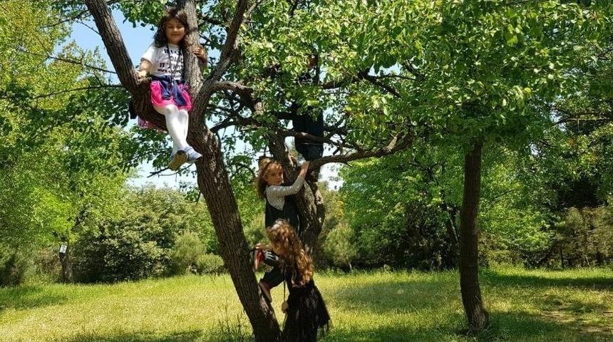 Okul &Ouml;ncesi Eğitimde, &Ouml;ğretmenin Yerini Deneyimleme Alıyor