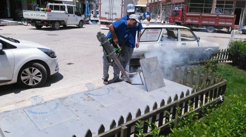 Sinekle M&uuml;cadele &Ccedil;alışmaları