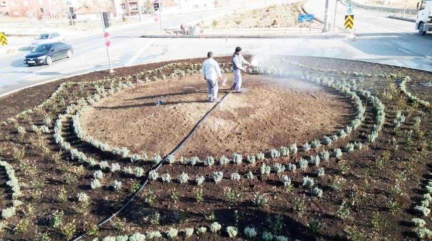 Parklara Kışlık Bakım