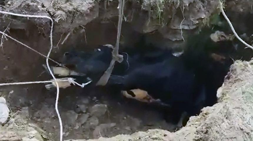 10 Metrelik Kuyudan İtfaiye Ekipleri Kurtardı