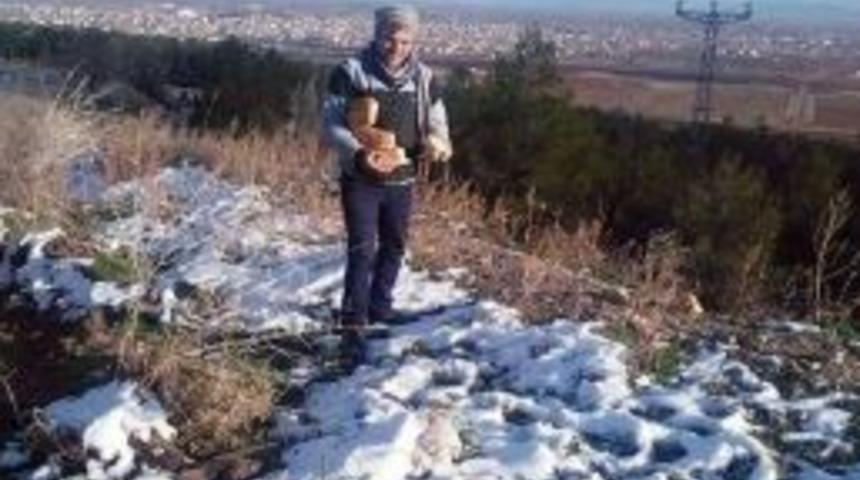 Sokak Hayvanları İ&ccedil;in Doğaya Yiyecek Bıraktılar