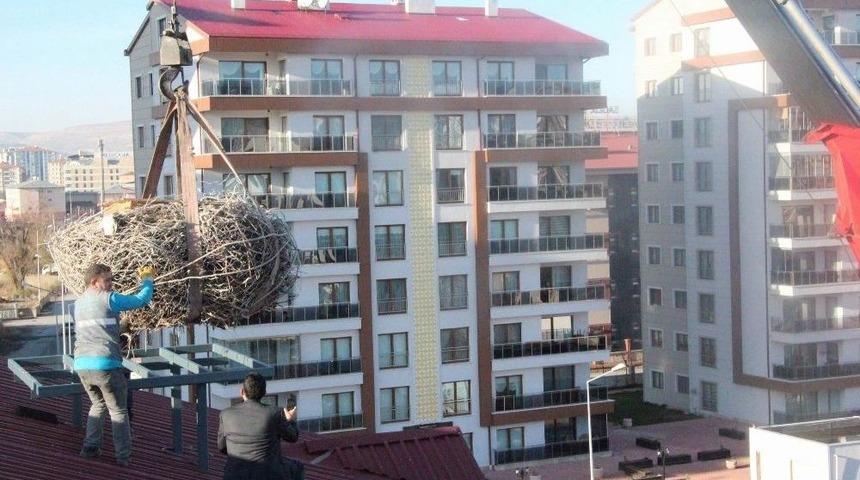 Leylek Yuvası Vin&ccedil;le Taşındı