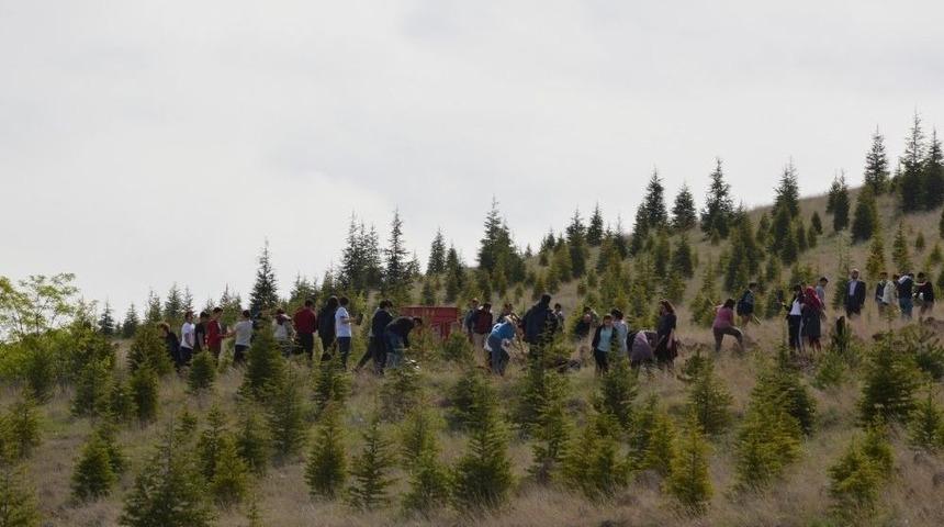 Yahşihan 2 Bin 500 Fidana Daha Kavuştu