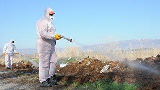 Çorum Belediyesi’nde Vektörel Mücadele Mesaisi