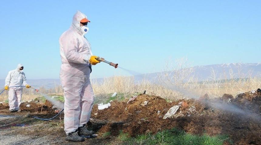 Çorum Belediyesi’nde Vektörel Mücadele Mesaisi