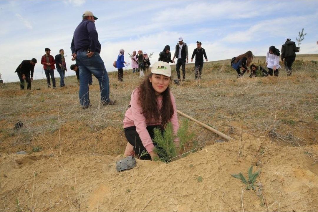 Bayburt &Uuml;niversitesi&rsquo;nde Fidanlar Yeşerecek