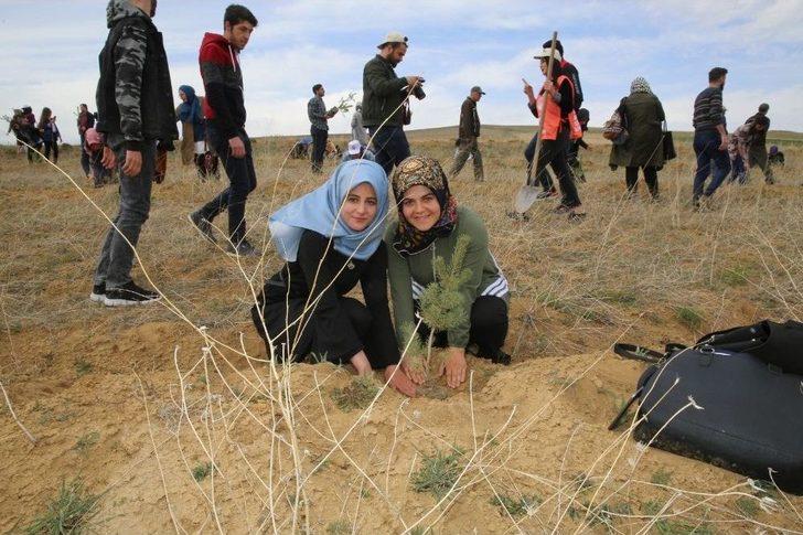 Bayburt Üniversitesi’nde Fidanlar Yeşerecek G1
