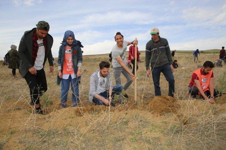Bayburt Üniversitesi’nde Fidanlar Yeşerecek G2