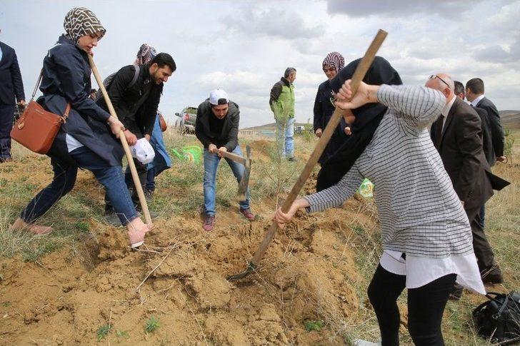 Bayburt Üniversitesi’nde Fidanlar Yeşerecek G4